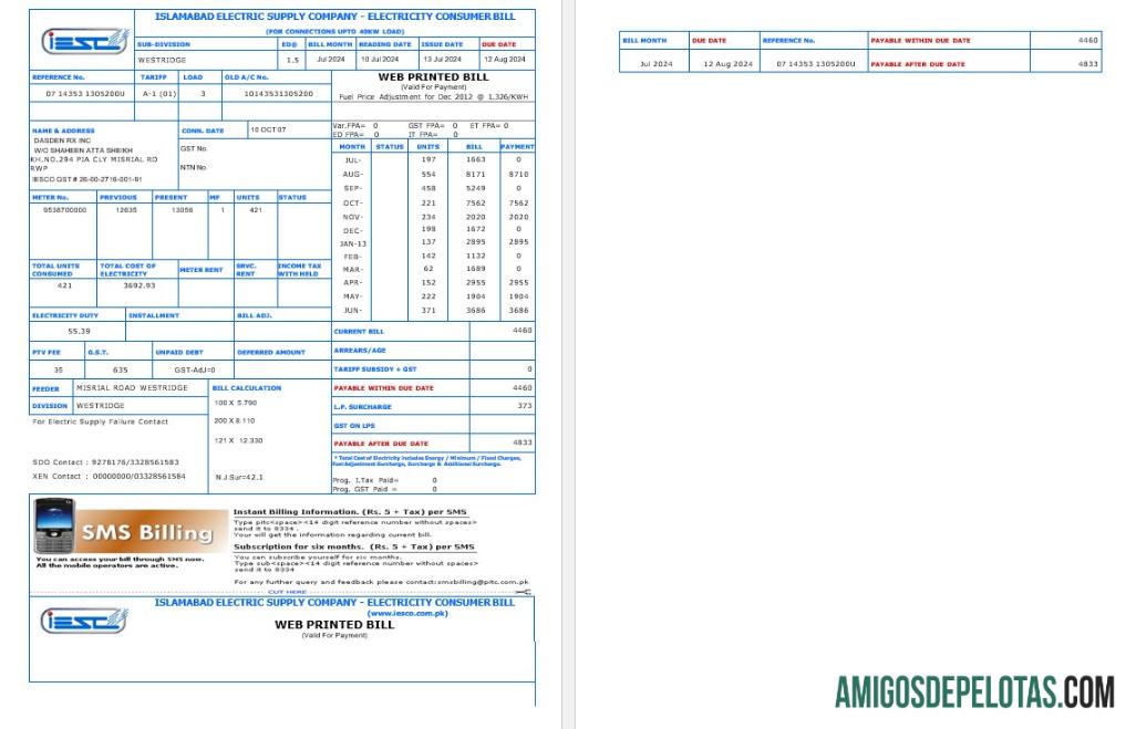 para download PAQUISTÃO IESC Business Utility Bill Word e modelo PDF
